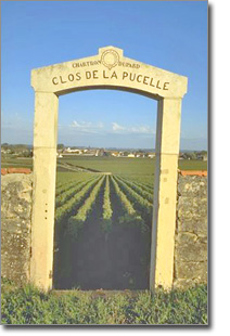 puligny1.jpg