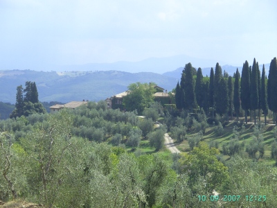 Toskana 2007: Montalcino - Besuch beim Weingut Pian dell´Orino