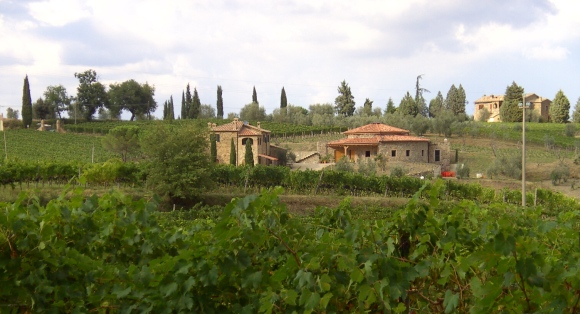 Toskana 2007: Montalcino - Besuch beim Weingut Pian dell´Orino