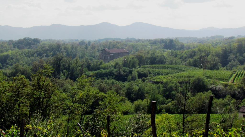 Le Piane- Boca, das etwas andere Weingut im Norden Piemonts