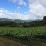 Quinta de Arcosso – Tras-os-Montes: Hinter den Bergen kann man großartige Weine entdecken