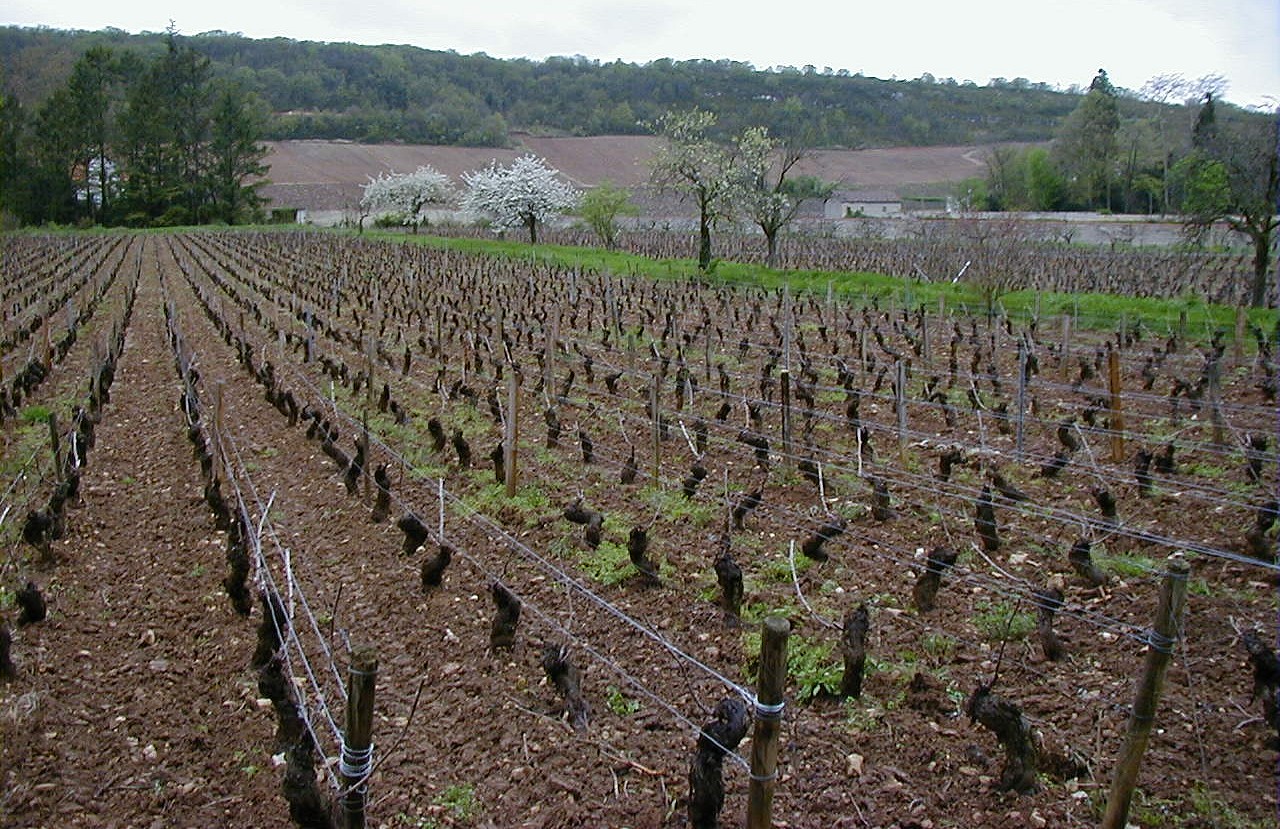 Jaeger-Defaix Rully rouge 1er Cru » Clos du Chapitre «