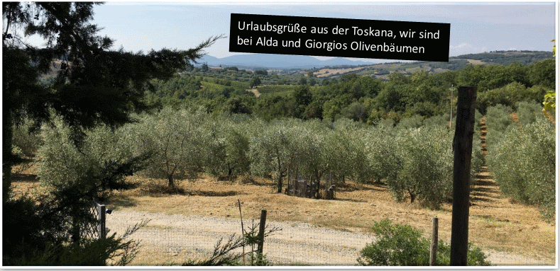 Poggio al Gello Olivenöl Extra Vergine TARA (IT-BIO-006) 1,0l