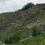 Riesling GG Uhlen Blaufüßer Lay VDP.Große Lage