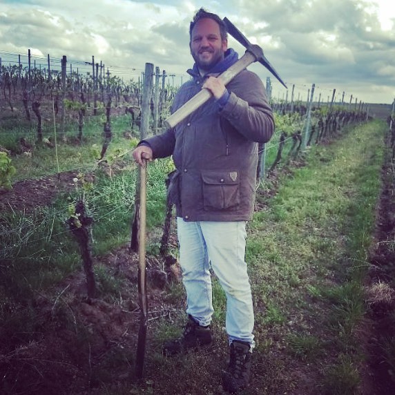 Weintasting Tomislav Markovic Ein Ex Banker Packt An K M