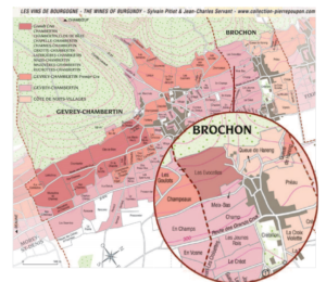 Gevrey-Chambertin »Les Evocelles«