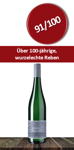 Stefan Müller Niedermenniger Sonnenberg Riesling Kabinett Alte Reben