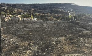 "D’Ici & d'ailleurs Blanc VdF"