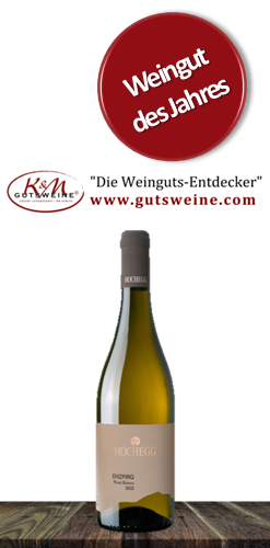 Weingut Hochegg Pinot Bianco Enzpirg