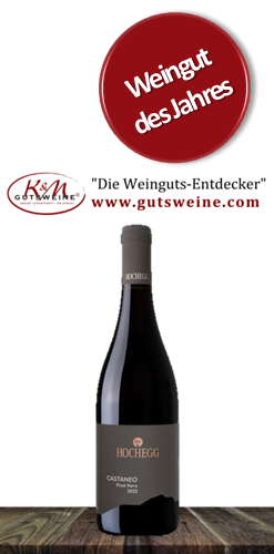 Weingut Hochegg Pinot Nero Castagneo
